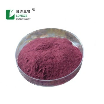 Bột quả việt quất hòa tan trong nước cho nước uống nước uống